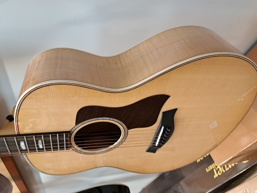 Taylor Guitars - 618E 3